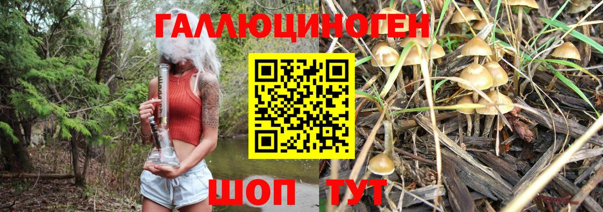 Муравленко  Галлюциногенные грибы прущие грибы  Вход с VPN  Псилоцибиновые грибы мухоморы 